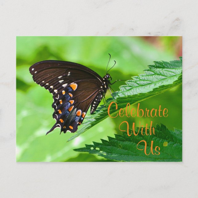 Invitación a la mariposa (Anverso)