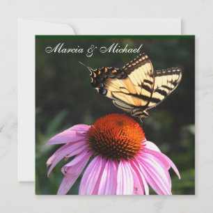 Invitación a la mariposa de cola amarilla