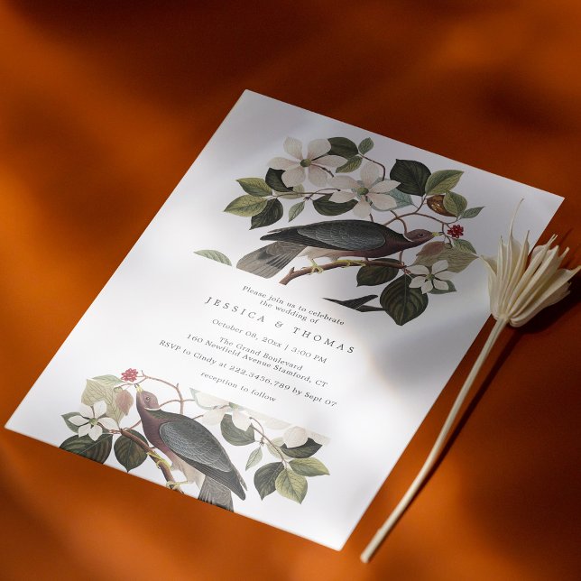 Invitación a la pareja de pichón limpia y elegante (Elegant & Personalized: Pigeon Love Story Wedding Invitation)