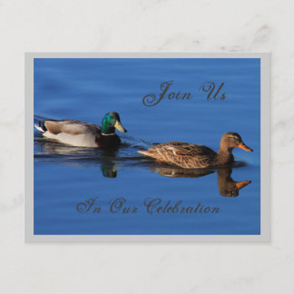 Invitación a la pareja mallard