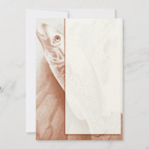 Invitación a la pesca