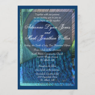 Invitación a la pluma de pavo real con borde
