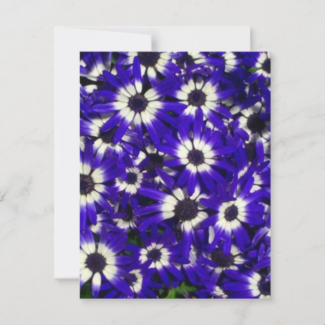 Invitación a las flores azules (Anverso)