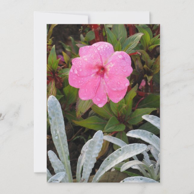 Invitación a las flores húmedas, personalizar (Anverso)