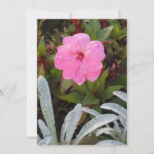 Invitación a las flores húmedas, personalizar