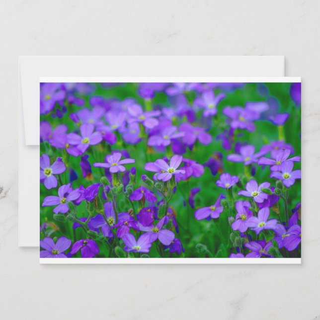 Invitación a las flores violetas (Anverso)