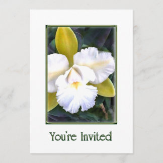 Invitación a las orquídeas Cattleya verdes y blanc