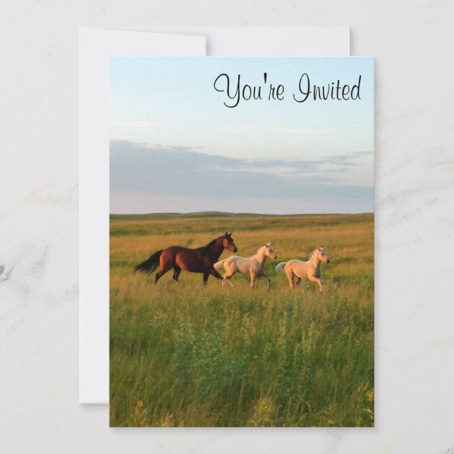 Invitación a los bebés de caballos gemelos mare y  (Anverso)