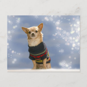 Invitación a los Navidades Chihuahua