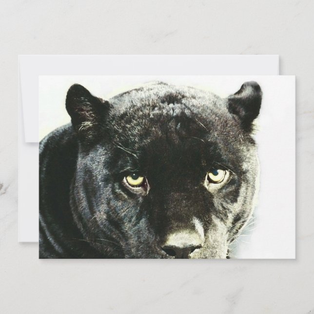 Invitación a los ojos de pantera jaguar negra (Anverso)