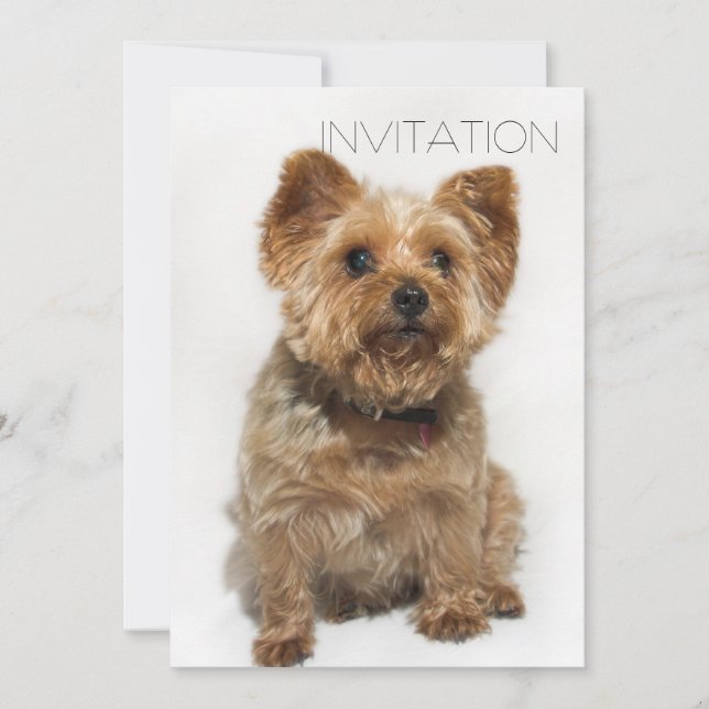 Invitación a Perro Cuto (Anverso)