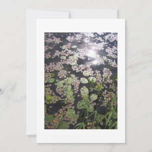 Invitación a Personalizar de "Lilypads"