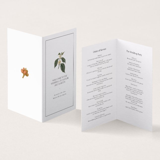 Invitación a planta de café bohemia de invierno rú (Interior y exterior)