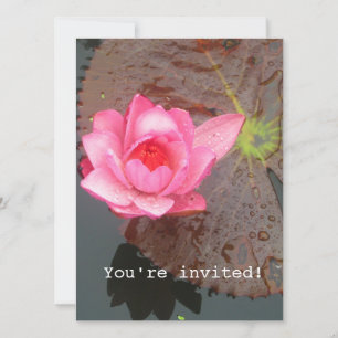 invitación a quemar flores de lirio rosa