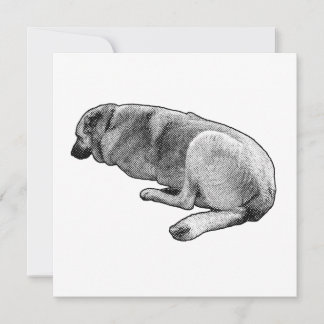 Invitación A Quiet Place to Settle