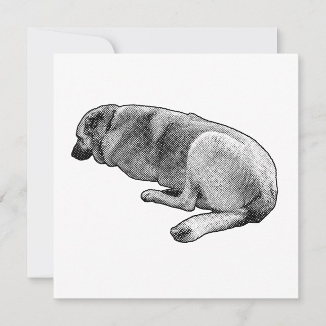 Invitación A Quiet Place to Settle (Anverso)