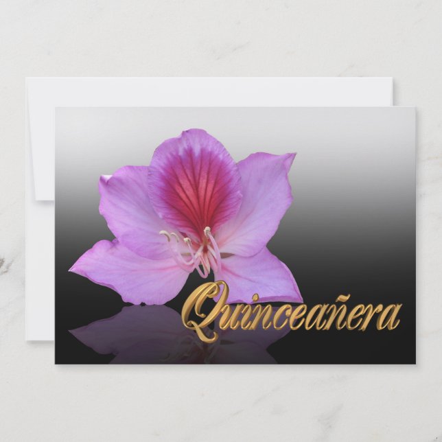 Invitación a Quinceanera 15º cumpleaños elegante (Anverso)