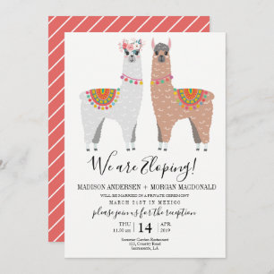 Invitación a recepción de Llama Elopement