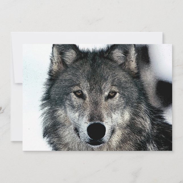 Invitación a retrato de lobo (Anverso)