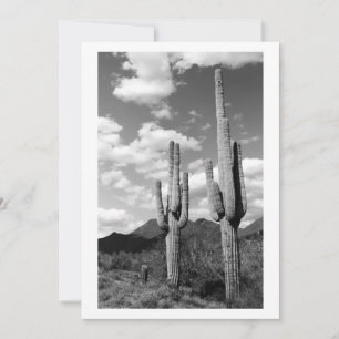 Invitación a Saguaro Sentinel (desierto de Sonora 