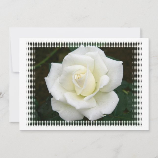Invitación a significados de Rosa (Anverso)