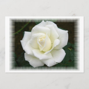 Invitación a significados de Rosa