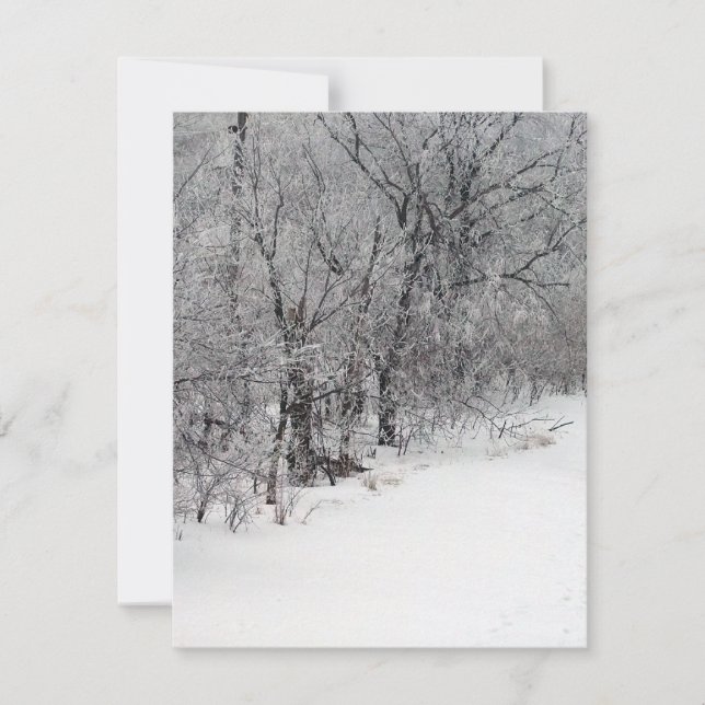 Invitación a Snowy Woods (Anverso)
