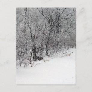 Invitación a Snowy Woods