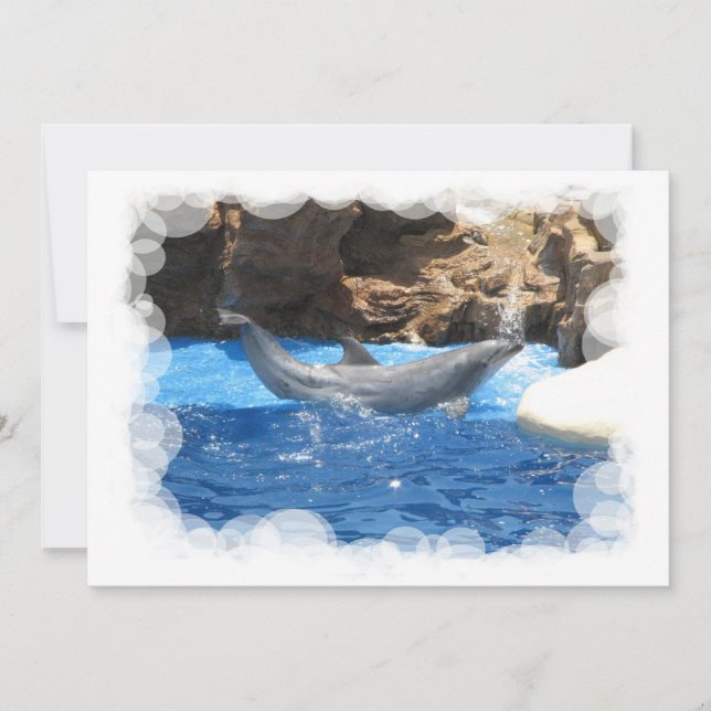 Invitación a trucos con delfines (Anverso)