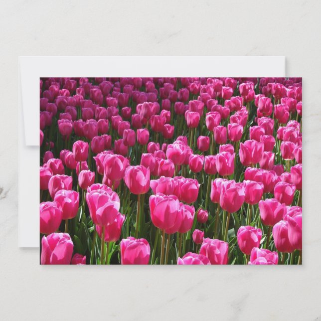 Invitación a tulipanes rosados (Anverso)
