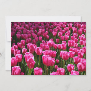 Invitación a tulipanes rosados