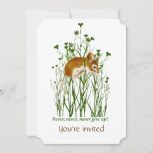 Invitación a un evento de recaudación de fondos pa