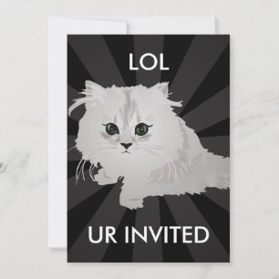 Invitación a un gatito suave