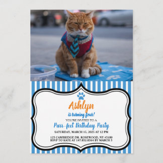 Invitación a un gato profesional desagradable