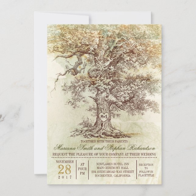 Invitación a una boda rústica en un árbol antiguo (Anverso)