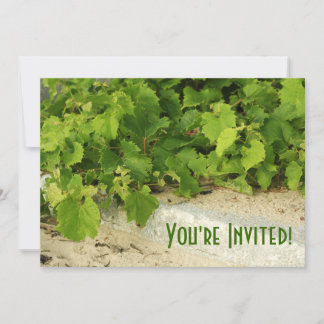 Invitación a viñedos