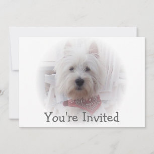 Invitación a West Highland Terrier