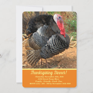 Invitación Acción de Gracias Turquía