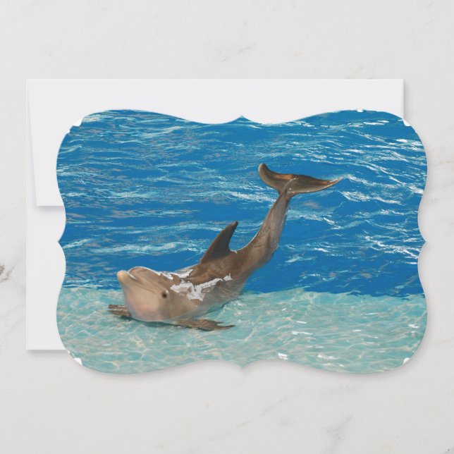 Invitación Actitud del delfín (Anverso)