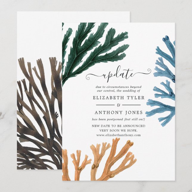 Invitación Actualización de boda temática de algas marinas ac (Anverso / Reverso)