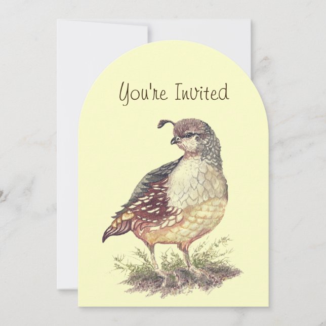 Invitación Acuarela California Quail Bird Lover (Anverso)