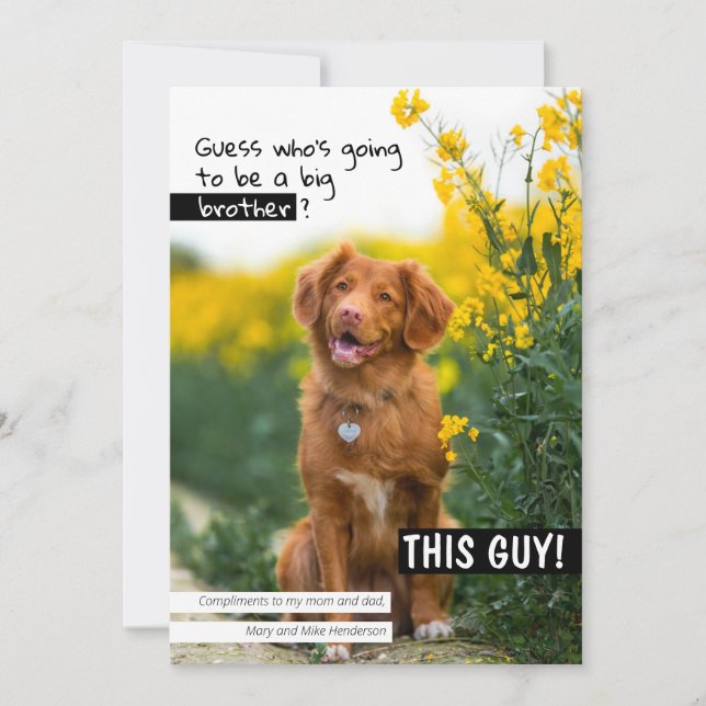 Invitación ¿Adivinan quién va a ser un hermano mayor/hermana? (Anverso)