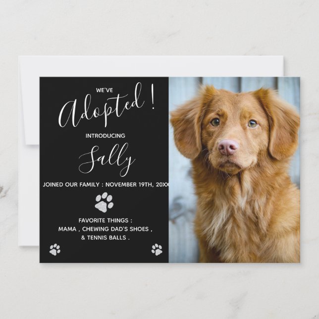 Invitación Adopción de perro - Fiesta de ducha de cachorros - (Anverso)