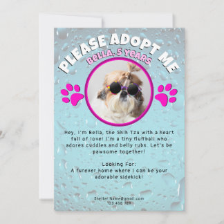 Invitación Adopt me dog custom 2 photo shelter animal rescue