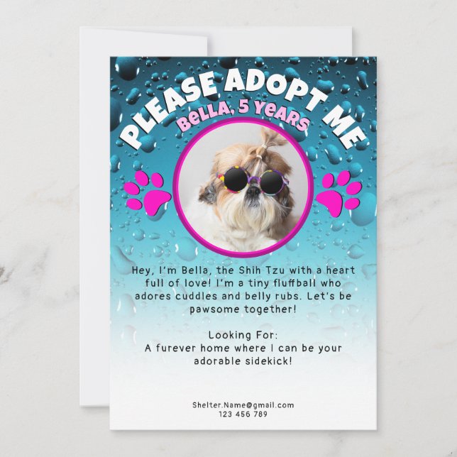 Invitación Adopta el rescate de animales para refugio fotográ (Anverso)