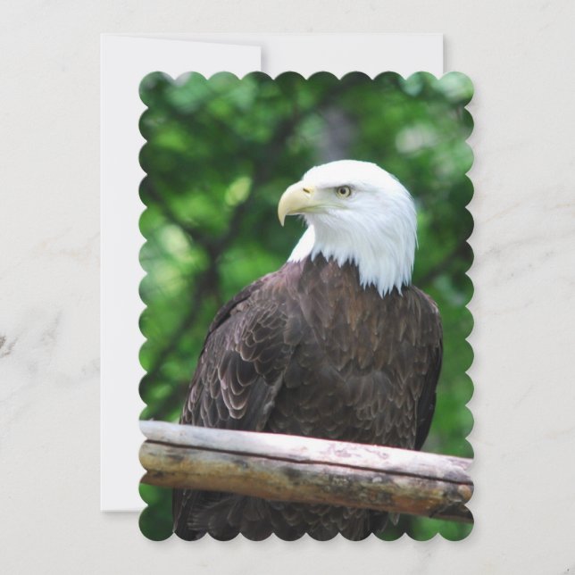 Invitación Águila (Anverso)