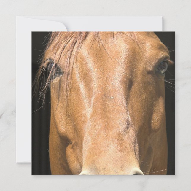 Invitación al caballo de castaño (Anverso)