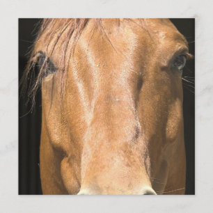 Invitación al caballo de castaño