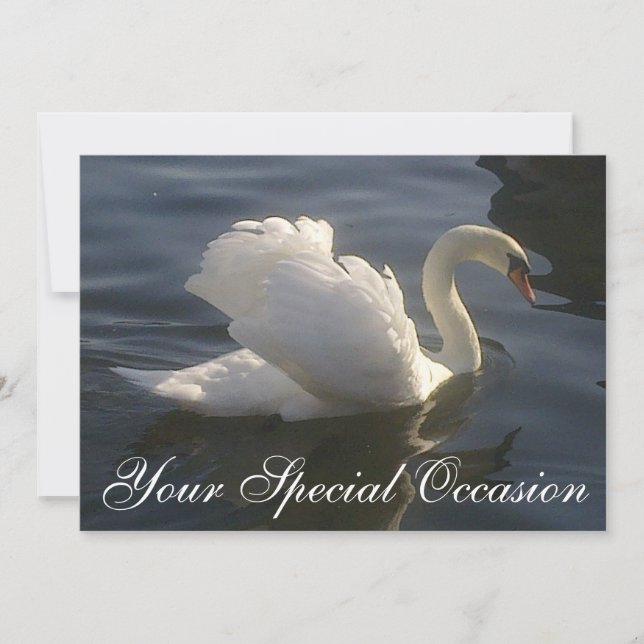 Invitación al cisne blanco (Anverso)