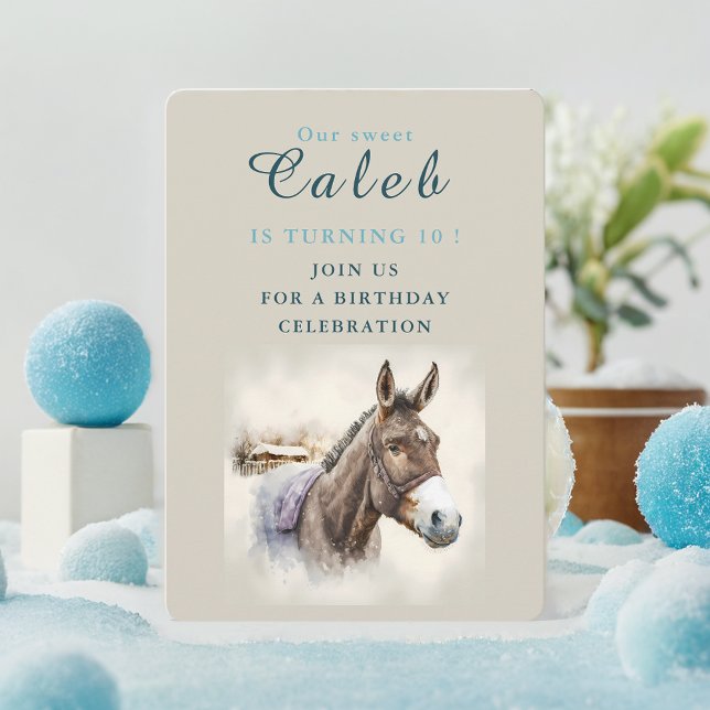 Invitación al cumpleaños de Donkey vibes de invier (Subido por el creador)